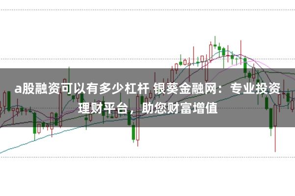 a股融资可以有多少杠杆 银葵金融网：专业投资理财平台，助您财富增值