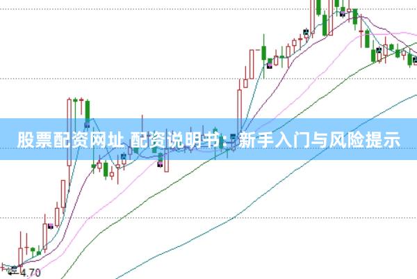 股票配资网址 配资说明书：新手入门与风险提示