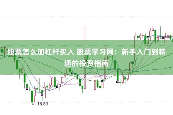 股票怎么加杠杆买入 股票学习网：新手入门到精通的投资指南