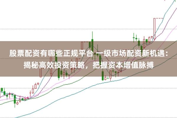 股票配资有哪些正规平台 一级市场配资新机遇：揭秘高效投资策略，把握资本增值脉搏