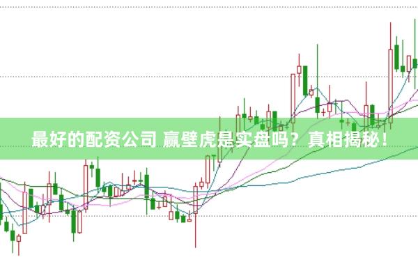 最好的配资公司 赢壁虎是实盘吗？真相揭秘！