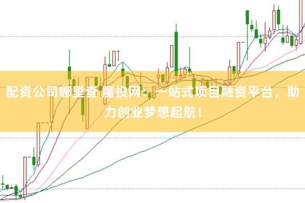 配资公司哪里查 魔投网：一站式项目融资平台，助力创业梦想起航！