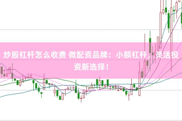 炒股杠杆怎么收费 微配资品牌：小额杠杆，灵活投资新选择！