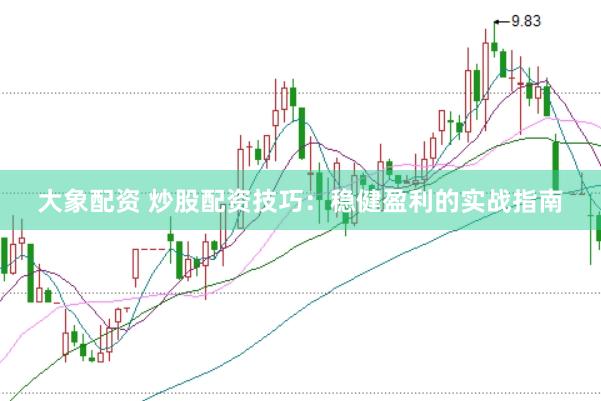 大象配资 炒股配资技巧：稳健盈利的实战指南