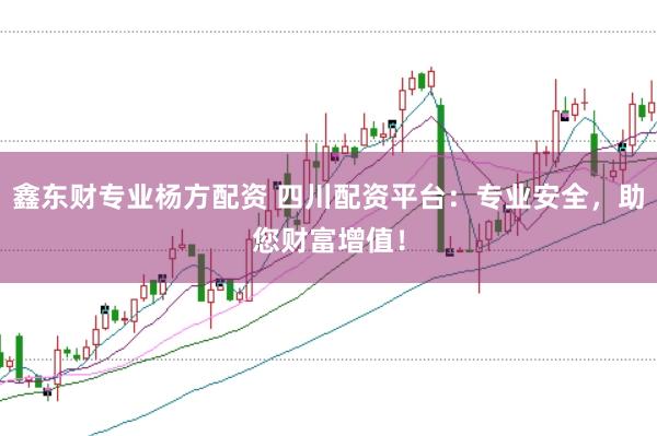 鑫东财专业杨方配资 四川配资平台：专业安全，助您财富增值！