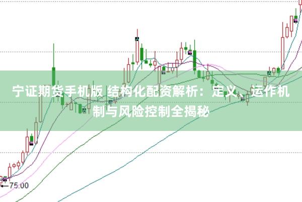 宁证期货手机版 结构化配资解析：定义、运作机制与风险控制全揭秘