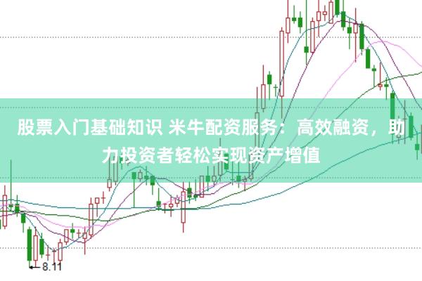 股票入门基础知识 米牛配资服务：高效融资，助力投资者轻松实现资产增值