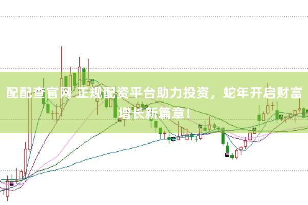 配配查官网 正规配资平台助力投资，蛇年开启财富增长新篇章！