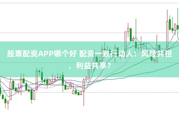 股票配资APP哪个好 配资一致行动人：风险共担，利益共享？