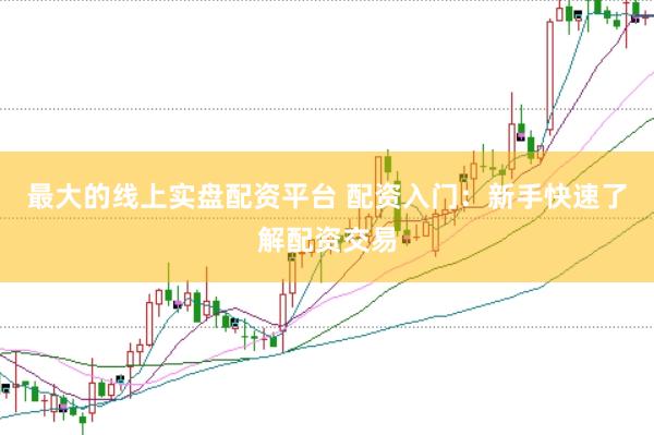 最大的线上实盘配资平台 配资入门：新手快速了解配资交易