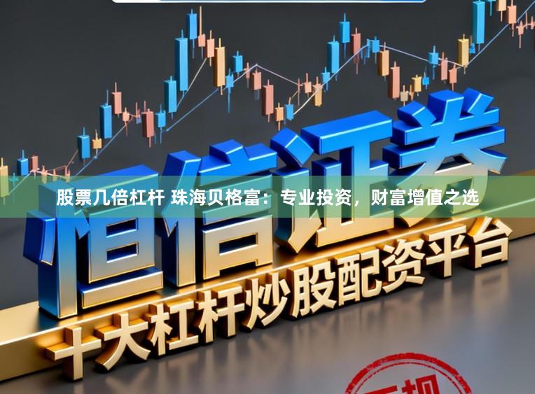 股票几倍杠杆 珠海贝格富：专业投资，财富增值之选